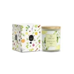 Morning Mist - Image 2