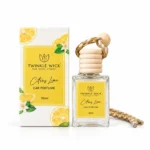 Citrus Lime Car Perfume - Image 2